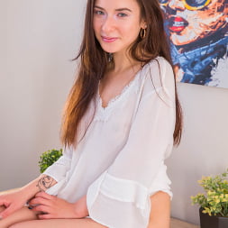 Bloom lambie, el reencuentro