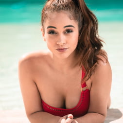 Ginebra Bellucci, The Exchange
