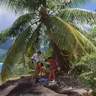 Joy in 'Joy, Sex Diving'