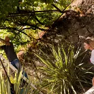 Marina V in 'Smoking hot Cocks'